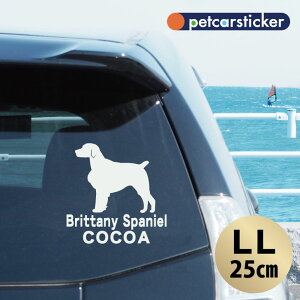  XebJ[ y u^j[XpjG zyLLz 킢 Vv J[XebJ[ JbeBOV[g ObY v[g  I[_[Ch O V[  ]ʎ 