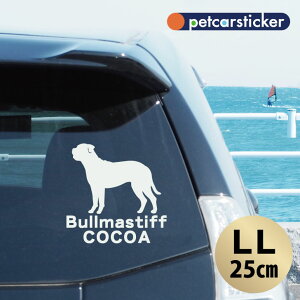  XebJ[ y u}XeBt zyLLz 킢 Vv J[XebJ[ JbeBOV[g ObY v[g  I[_[Ch O V[  ]ʎ 