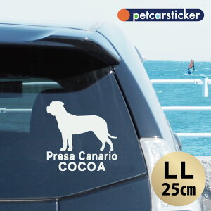  XebJ[ y vTJiI zyLLz 킢 Vv J[XebJ[ JbeBOV[g ObY v[g  I[_[Ch O V[  ]ʎ 