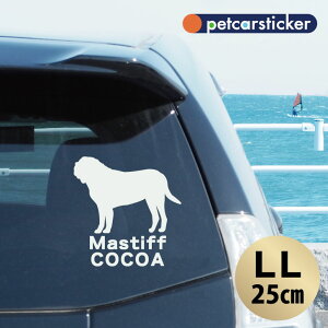  XebJ[ y }XeBt zyLLz 킢 Vv J[XebJ[ JbeBOV[g ObY v[g  I[_[Ch O V[  ]ʎ 