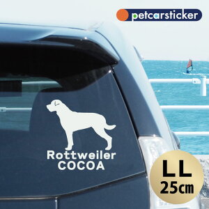 y }\ P5{ z XebJ[ y bgC[ zyLLz 킢 Vv J[XebJ[ JbeBOV[g ObY v[g  I[_[Ch O V[  ]