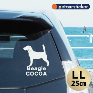  XebJ[ y r[O 2 zyLLz 킢 Vv J[XebJ[ JbeBOV[g ObY v[g  I[_[Ch O V[  ]ʎ 