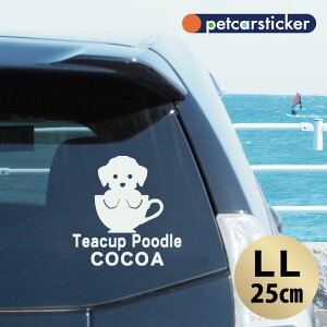 y BLACK FRIDAY P5{ z  XebJ[ y eB[Jbvv[h zyLLz 킢 Vv J[XebJ[ JbeBOV[g ObY v[g  I[_[Ch O V[ 