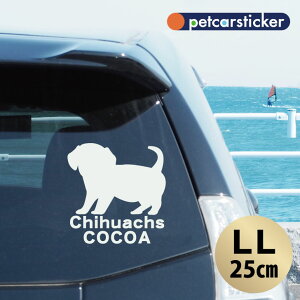 y }\ P5{ z XebJ[ y `bNX zyLLz 킢 Vv J[XebJ[ JbeBOV[g ObY v[g  I[_[Ch O V[  ]ʎ 