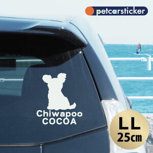  XebJ[ y `v[ zyLLz 킢 Vv J[XebJ[ JbeBOV[g ObY v[g  I[_[Ch O V[  ]ʎ 