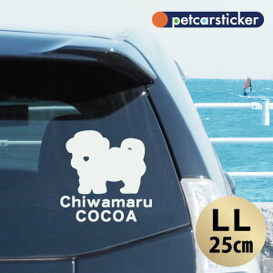 y BLACK FRIDAY P5{ z  XebJ[ y `} zyLLz 킢 Vv J[XebJ[ JbeBOV[g ObY v[g  I[_[Ch O V[  ]ʎ 