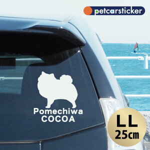 y BLACK FRIDAY P5{ z  XebJ[ y |` zyLLz 킢 Vv J[XebJ[ JbeBOV[g ObY v[g  I[_[Ch O V[  ]ʎ 