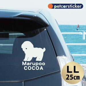 y }\ P5{ z XebJ[ y }v[ zyLLz 킢 Vv J[XebJ[ JbeBOV[g ObY v[g  I[_[Ch O V[  ]ʎ 