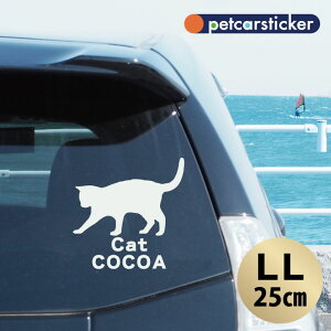 y X[p[SALEԒ P10{ z  XebJ[ y L zyLLz 킢 Vv J[XebJ[ JbeBOV[g ObY v[g  I[_[Ch O V[  