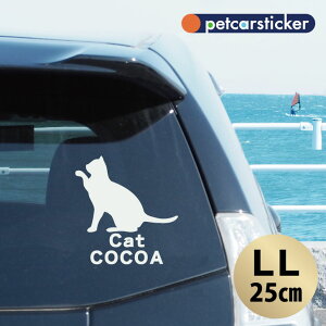 y BLACK FRIDAY P5{ z  XebJ[ y L zyLLz 킢 Vv J[XebJ[ JbeBOV[g ObY v[g  I[_[Ch O V[  ]ʎ L