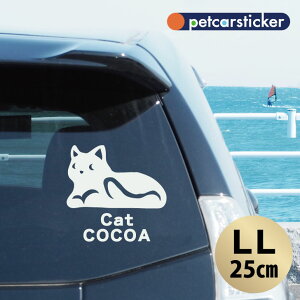  XebJ[ y xݔL zyLLz 킢 Vv J[XebJ[ JbeBOV[g ObY v[g  I[_[Ch O V[  ]ʎ L