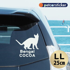  XebJ[ y xK zyLLz 킢 Vv J[XebJ[ JbeBOV[g ObY v[g  I[_[Ch O V[  ]ʎ L