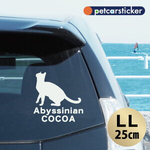 y X[p[SALEԒ P10{ z  XebJ[ y ArVjA zyLLz 킢 Vv J[XebJ[ JbeBOV[g ObY v[g  I[_[Ch O V[ 