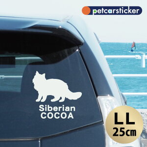  XebJ[ y TCxA zyLLz 킢 Vv J[XebJ[ JbeBOV[g ObY v[g  I[_[Ch O V[  ]ʎ L