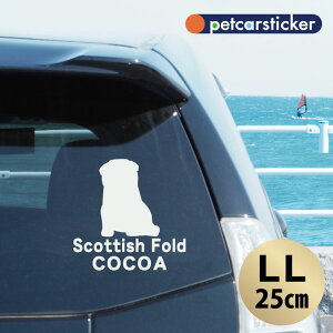  XebJ[ y XReBbVtH[h@qL zyLLz 킢 Vv J[XebJ[ JbeBOV[g ObY v[g  I[_[Ch O V[  ]ʎ 