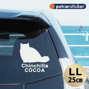 y X[p[SALEԒ P10{ z  XebJ[ y `` zyLLz 킢 Vv J[XebJ[ JbeBOV[g ObY v[g  I[_[Ch O V[  