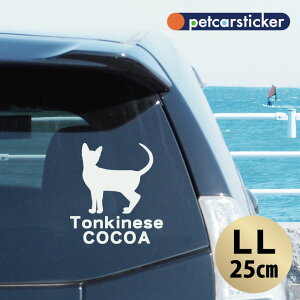  XebJ[ y gLj[Y zyLLz 킢 Vv J[XebJ[ JbeBOV[g ObY v[g  I[_[Ch O V[  ]ʎ L