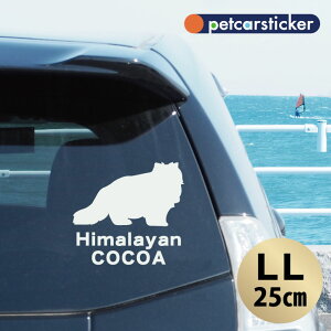  XebJ[ y q} zyLLz 킢 Vv J[XebJ[ JbeBOV[g ObY v[g  I[_[Ch O V[  ]ʎ L