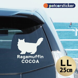  XebJ[ y K}tB zyLLz 킢 Vv J[XebJ[ JbeBOV[g ObY v[g  I[_[Ch O V[  ]ʎ L