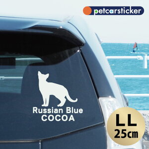 y BLACK FRIDAY P5{ z  XebJ[ y VAu[ zyLLz 킢 Vv J[XebJ[ JbeBOV[g ObY v[g  I[_[Ch O V[  ]