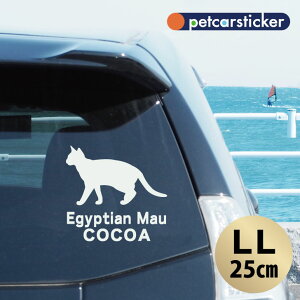  XebJ[ y GWvV}E zyLLz 킢 Vv J[XebJ[ JbeBOV[g ObY v[g  I[_[Ch O V[  ]ʎ L