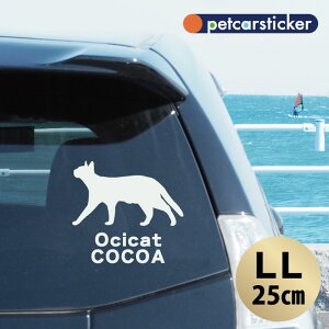 y }\ P5{ z XebJ[ y IVLbg zyLLz 킢 Vv J[XebJ[ JbeBOV[g ObY v[g  I[_[Ch O V[  ]