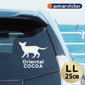 y X[p[SALEԒ P10{ z  XebJ[ y IG^ zyLLz 킢 Vv J[XebJ[ JbeBOV[g ObY v[g  I[_[Ch O V[ 