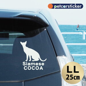  XebJ[ y V zyLLz 킢 Vv J[XebJ[ JbeBOV[g ObY v[g  I[_[Ch O V[  ]ʎ L