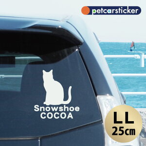  XebJ[ y Xm[V[ zyLLz 킢 Vv J[XebJ[ JbeBOV[g ObY v[g  I[_[Ch O V[  ]ʎ L