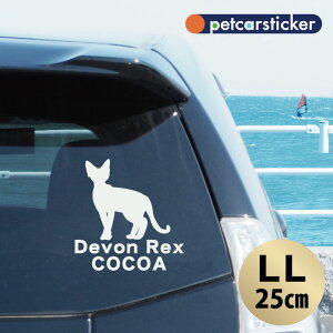 y BLACK FRIDAY P5{ z  XebJ[ y f{bNX zyLLz 킢 Vv J[XebJ[ JbeBOV[g ObY v[g  I[_[Ch O V[  ]