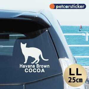  XebJ[ y noiuE zyLLz 킢 Vv J[XebJ[ JbeBOV[g ObY v[g  I[_[Ch O V[  ]ʎ L