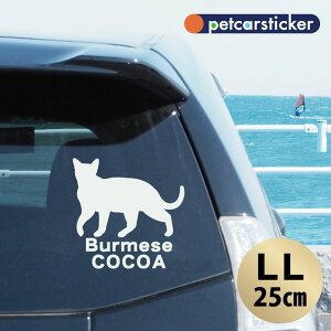  XebJ[ y o[~[Y zyLLz 킢 Vv J[XebJ[ JbeBOV[g ObY v[g  I[_[Ch O V[  ]ʎ L