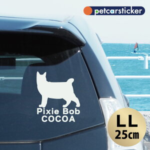  XebJ[ y sNV[{u zyLLz 킢 Vv J[XebJ[ JbeBOV[g ObY v[g  I[_[Ch O V[  ]ʎ L