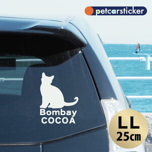  XebJ[ y {xC zyLLz 킢 Vv J[XebJ[ JbeBOV[g ObY v[g  I[_[Ch O V[  ]ʎ L