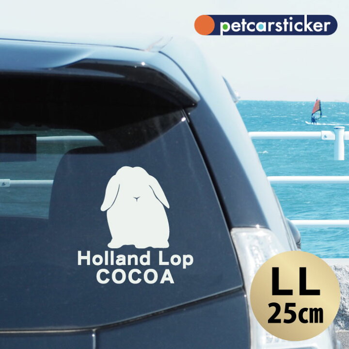 楽天市場 送料無料 車 ステッカー ホーランドロップ Llサイズ かわいい シンプル カーステッカー カッティングシート グッズ プレゼント おしゃれ オーダーメイド 名前 シール 可愛い 転写式 小動物 Mo U Ra