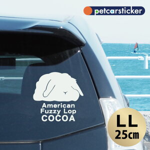  XebJ[ y AJt@W[bv zyLLz 킢 Vv J[XebJ[ JbeBOV[g ObY v[g  I[_[Ch O V[  ]ʎ 