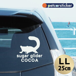  XebJ[ y tNK zyLLz 킢 Vv J[XebJ[ JbeBOV[g ObY v[g  I[_[Ch O V[  ]ʎ 