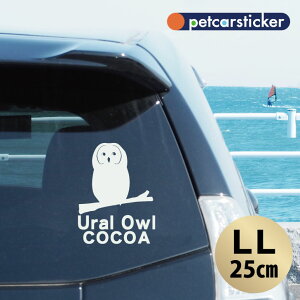 y X[p[SALEԒ P10{ z  XebJ[ y EtNE zyLLz 킢 Vv J[XebJ[ JbeBOV[g ObY v[g  I[_[Ch O V[ 