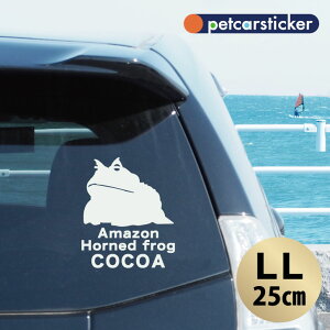  XebJ[ y A}]cmKG zyLLz 킢 Vv J[XebJ[ JbeBOV[g ObY v[g  I[_[Ch O V[  ]ʎ JG