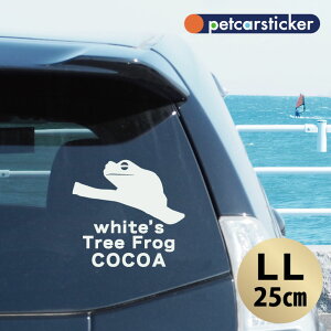  XebJ[ y CGAKG zyLLz 킢 Vv J[XebJ[ JbeBOV[g ObY v[g  I[_[Ch O V[  ]ʎ JG