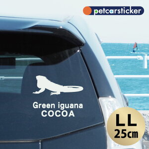 y X[p[SALEԒ P10{ z  XebJ[ y O[COAi zyLLz 킢 Vv J[XebJ[ JbeBOV[g ObY v[g  I[_[Ch O V[ 