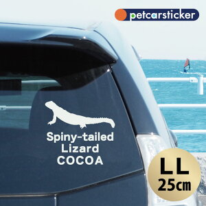 y X[p[SALEԒ P10{ z  XebJ[ y gQIAK} zyLLz 킢 Vv J[XebJ[ JbeBOV[g ObY v[g  I[_[Ch O V[ 