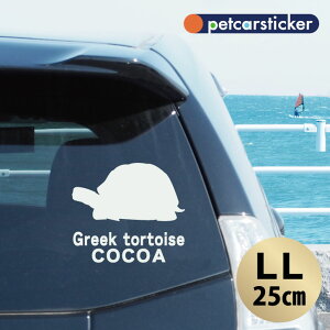 車 ステッカー 【 ギリシャリクガメ 】【LL】 かわいい シンプル カーステッカー カッティングシート グッズ プレゼント おしゃれ オーダーメイド 名前 シール 可愛い 転写式 カメ
