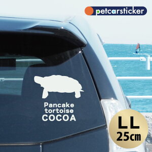 y }\ P5{ z XebJ[ y pP[LNK zyLLz 킢 Vv J[XebJ[ JbeBOV[g ObY v[g  I[_[Ch O V[ 