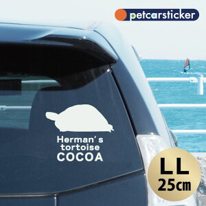 y }\ P5{ z XebJ[ y w}NK zyLLz 킢 Vv J[XebJ[ JbeBOV[g ObY v[g  I[_[Ch O V[  