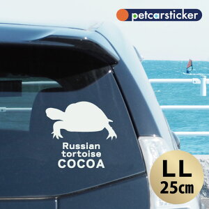 y }\ P5{ z XebJ[ y VANK zyLLz 킢 Vv J[XebJ[ JbeBOV[g ObY v[g  I[_[Ch O V[  ]