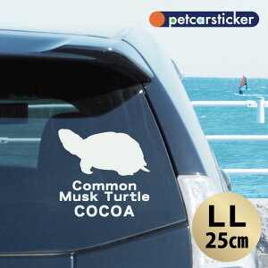 y BLACK FRIDAY P5{ z  XebJ[ y ~VVbsjICK zyLLz 킢 Vv J[XebJ[ JbeBOV[g ObY v[g  I[_[Ch O V[ 