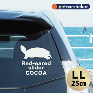 y X[p[SALEԒ P10{ z  XebJ[ y ~hK zyLLz 킢 Vv J[XebJ[ JbeBOV[g ObY v[g  I[_[Ch O V[ 