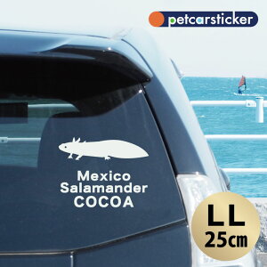  XebJ[ y E[p[[p[ zyLLz 킢 Vv J[XebJ[ JbeBOV[g ObY v[g  I[_[Ch O V[  ]ʎ 