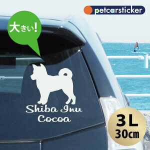  XebJ[ y Č zy3Lz 킢 Vv J[XebJ[ JbeBOV[g ObY v[g  I[_[Ch O V[  ]ʎ 